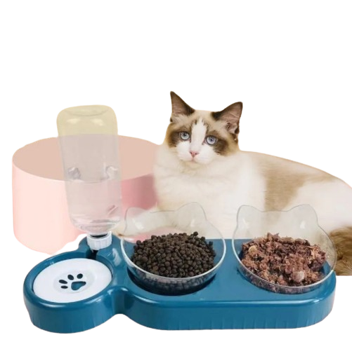 Pet Food Bowl